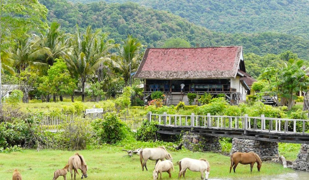 Lakey Beach Inn Hotel Huu Luaran gambar